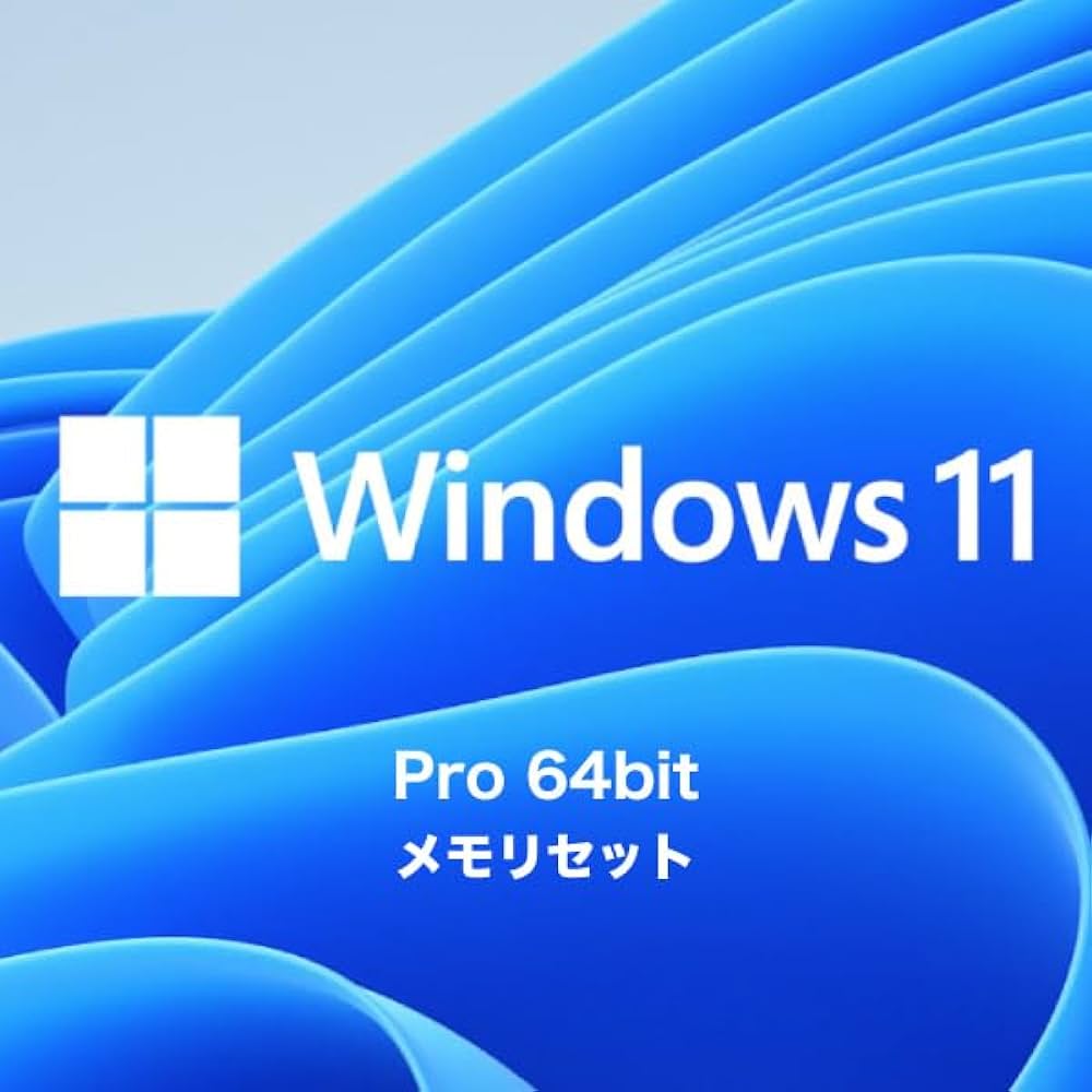 Microsoft Windows 11 Pro 64bit 日本語 DSP版