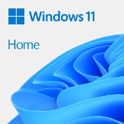 Microsoft Windows 11 Home 64bit 日本語 DSP版